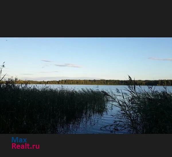 Порхов д.Жгилёво, Славковская волость, Порховский район дом