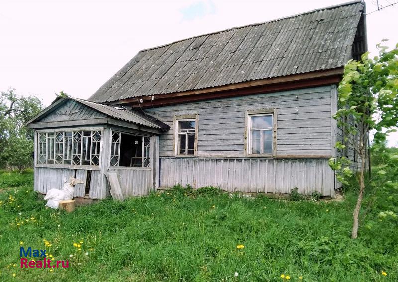 Велиж деревня Бакланово дом