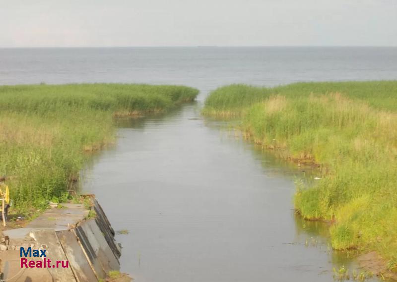 Санкт-Петербург Рахьинское городское поселение, деревня Коккорево дом