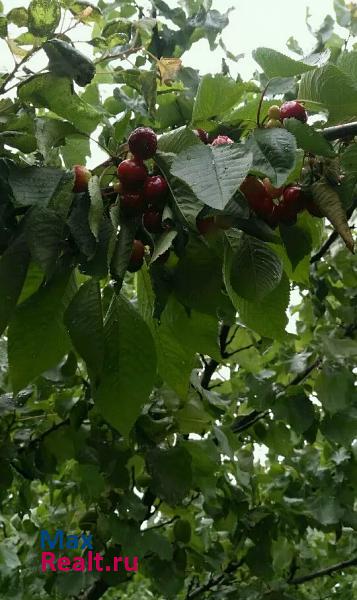 Ейск Кухаривское сельское поселение, село Воронцовка, Молодёжная улица, 35 дом