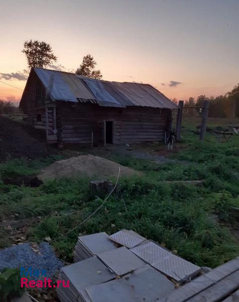 Нижняя Тавда Нижнетавдинский район, деревня Соколовка дом