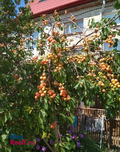 Тольятти поселок Луначарский дом