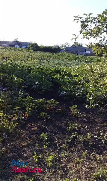 Вейделевка село Кубраки дом