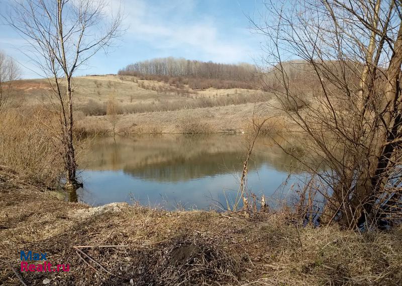 Бутурлино село Инкино дом