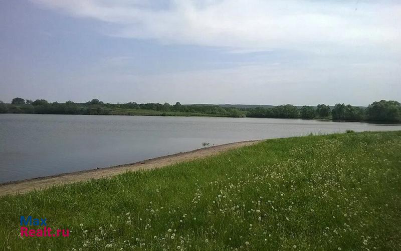 Большие Березники село Марьяновка, Пролетарская улица дом