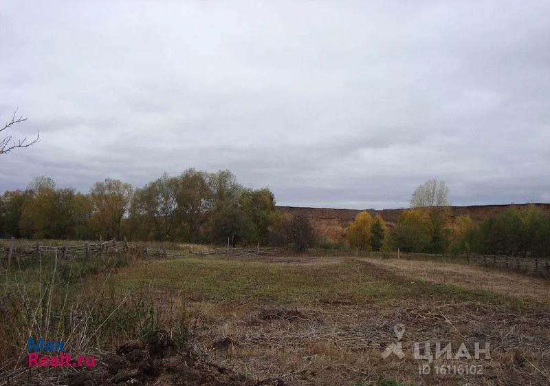 Базарные Матаки Алексеевский район, село Войкино дом