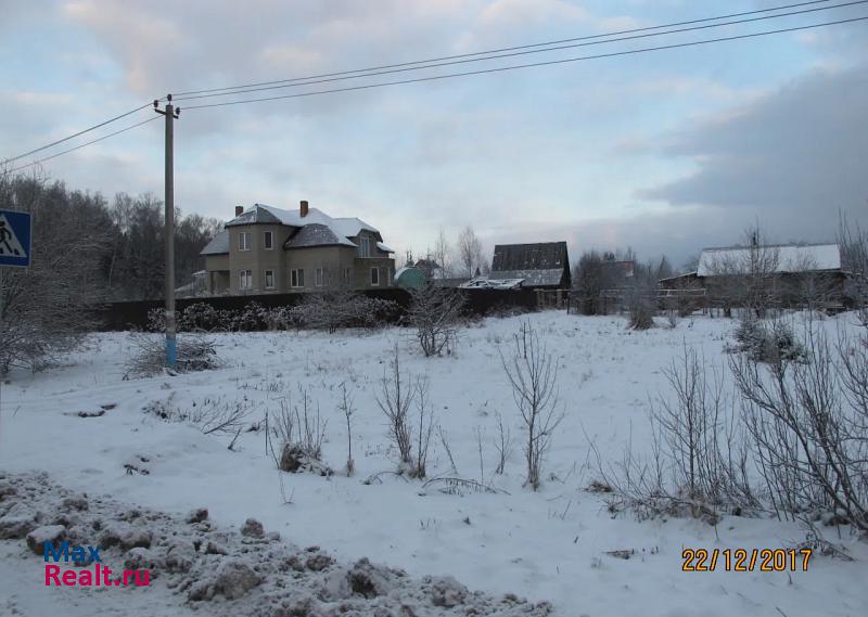 Правдинский деревня Дарьино, Васильковая улица, 6 дом