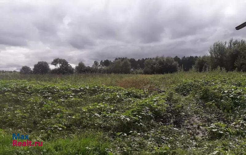 Белогорск Белогорский район, село Великокнязевка, улица Мира, 26 дом