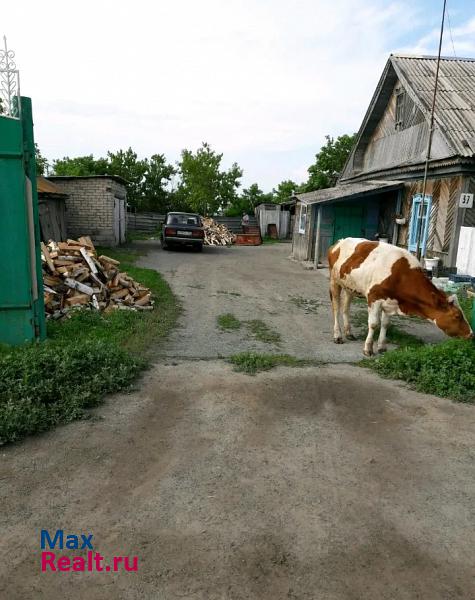 Октябрьское Октябрьский район, деревня Барсучье, Центральная улица дом