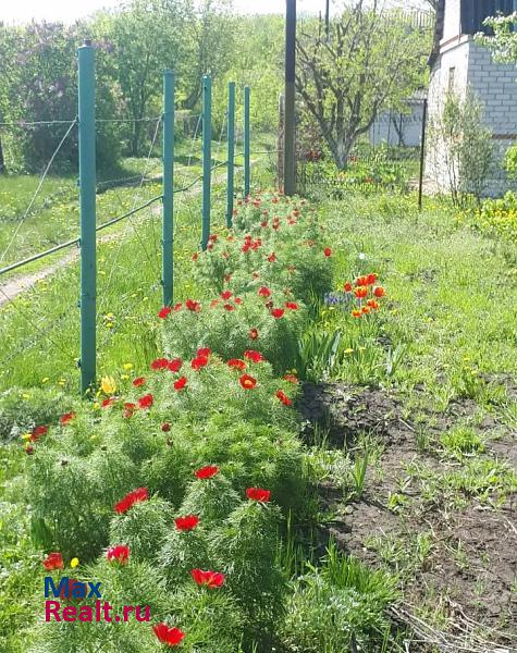 Латная село, Семилукский район, Лосево дом