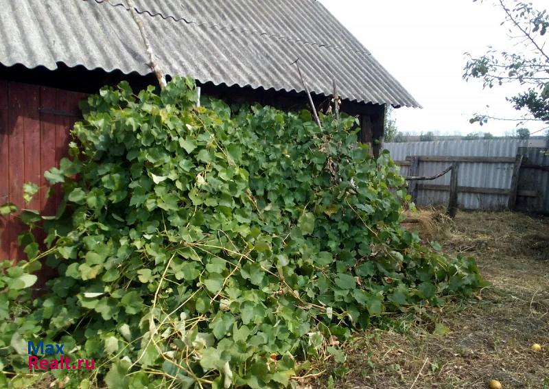 Грайворон село Мокрая Орловка, Центральная улица дом