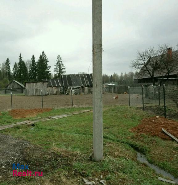 Новопетровское городской округ Истра, поселок Лесодолгоруково дом