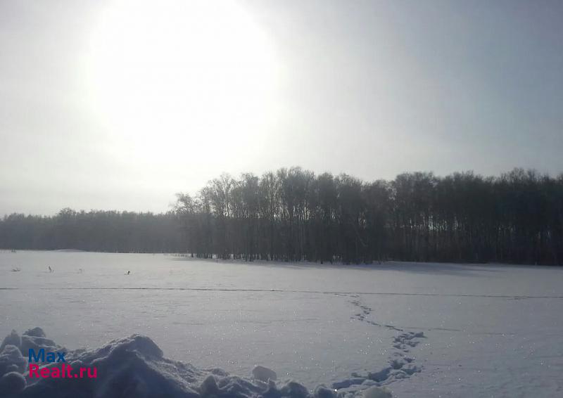 Любинский деревня Покровка дом