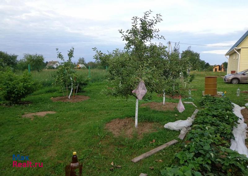 Псков деревня Горушка, Палкинский район дом