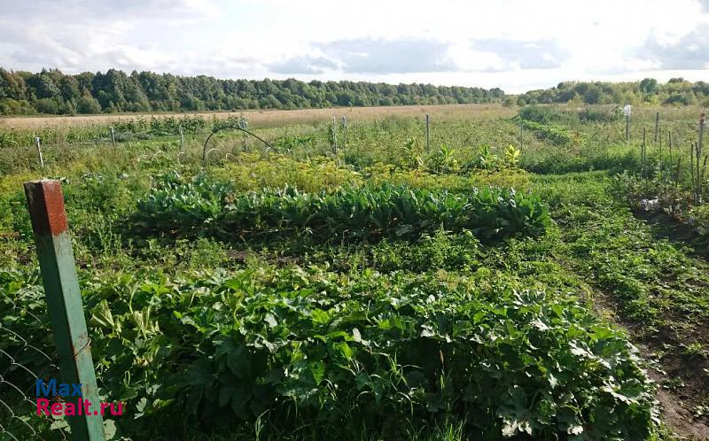 Чернь село Малое Скуратово дом