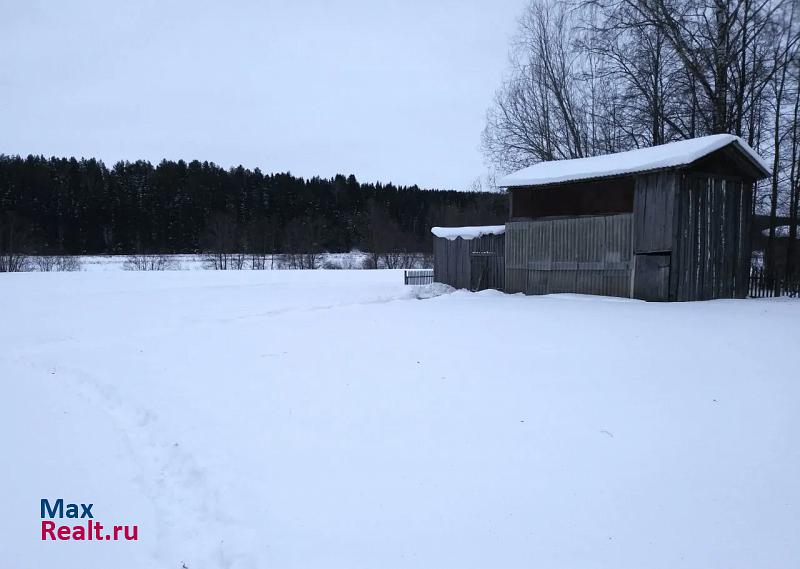 Новый Торъял Новоторъяльский р-н, пос. городского типа Новый Торъял, Зелёная ул. дом