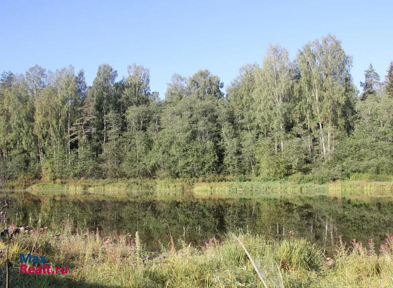 Ржев деревня Дурнево дом