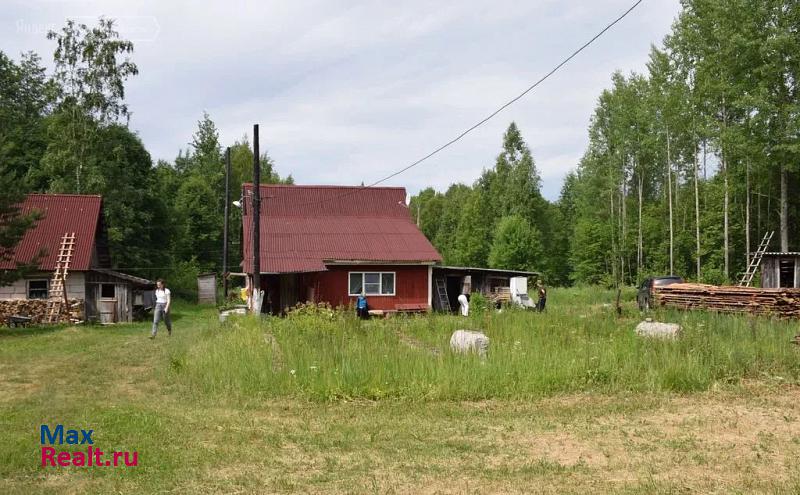 Усть-Луга Вистинское сельское поселение, деревня Ручьи, Рябиновый проезд дом