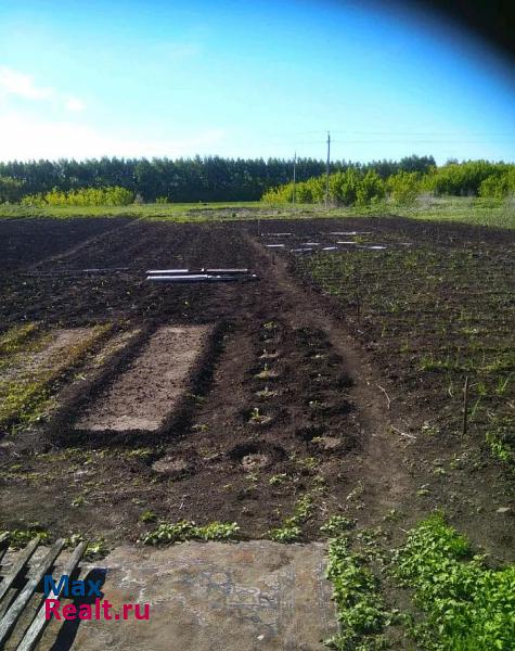 Елховка село, Сергиевский район, Большая Чесноковка дом