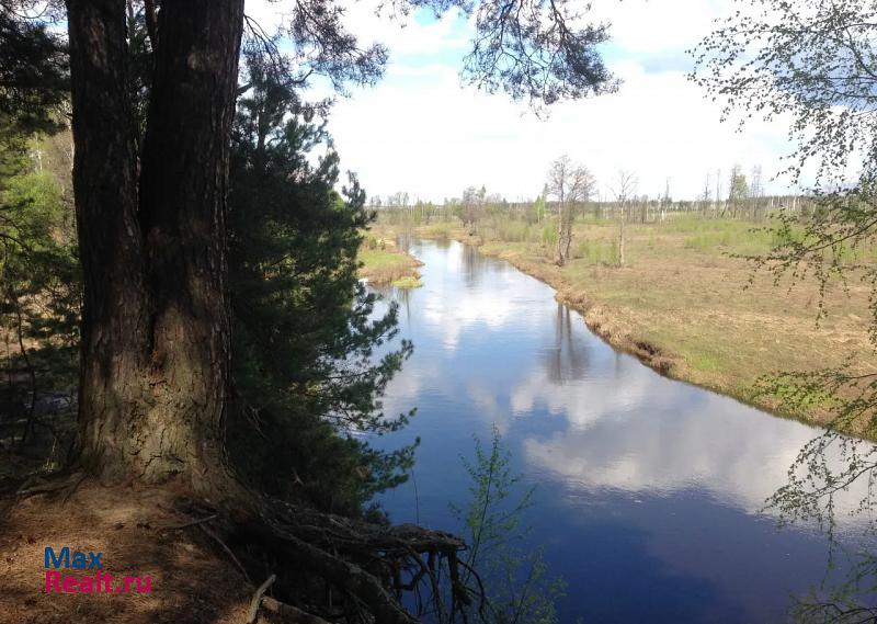 Тума село Лихунино дом