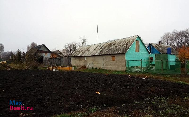 Грязи Октябрьский сельсовет, село Октябрьское, проспект Революции, 28 дом