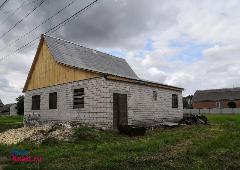 Стародуб улица Тургенева, 12 дом