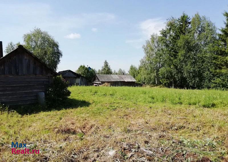 Конево муниципальное образование Конёвское, село Конёво, Луговая улица, 11 дом