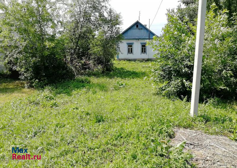 Орел село Становой Колодезь, Центральная улица дом