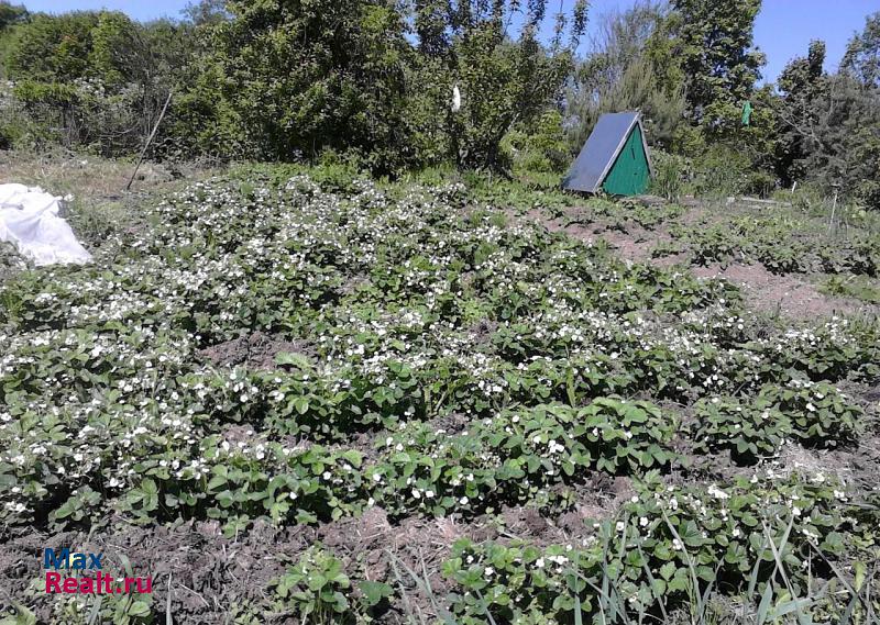 Новосокольники Новосокольнический р-н, д. Маево дом