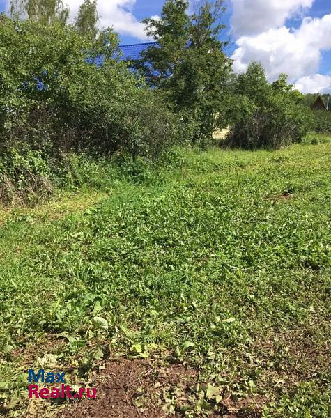 Большая Соснова село Большая Соснова, улица Гагарина, 10 дом