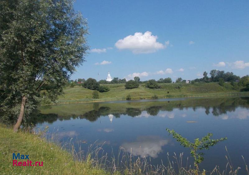 Перевоз село, городской округ Перевозский, Ягодное дом