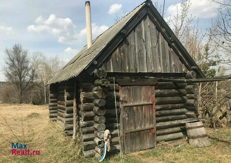 Николаевка село Славкино дом