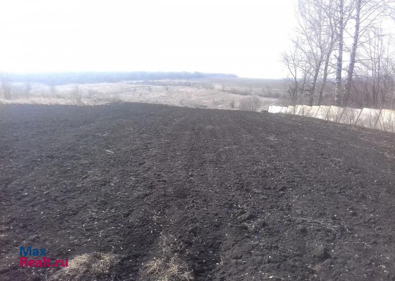 Орел деревня Болотово, Орловский район дом