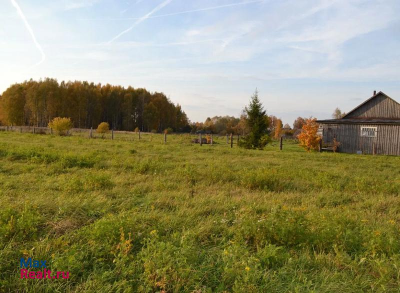 Новодугино село Днепровское дом