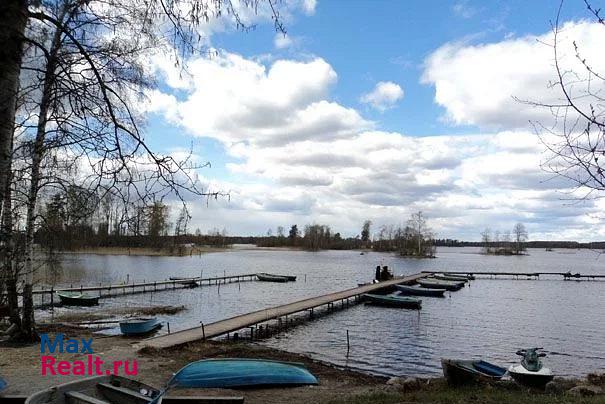 Санкт-Петербург  дом