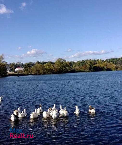 Орел Орёл, городской округ Орёл дом